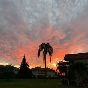 Meet your Posher, Riley